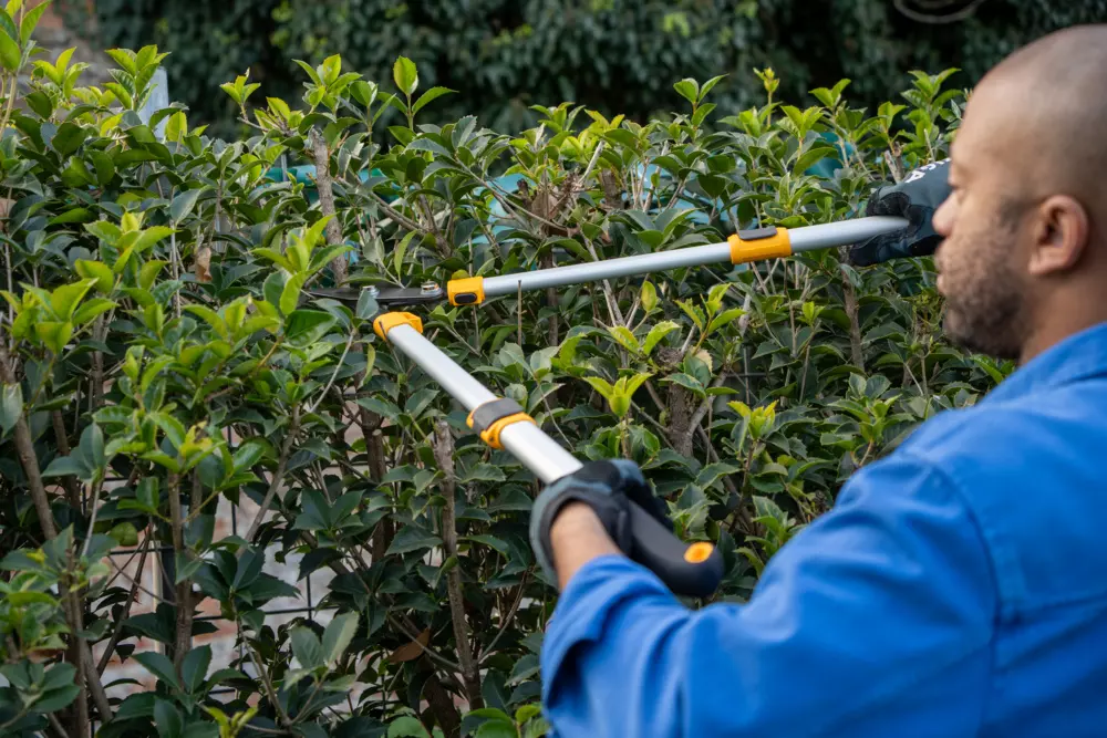 satosugaページ Teleskopowy sekator dwuręczny nożycowy